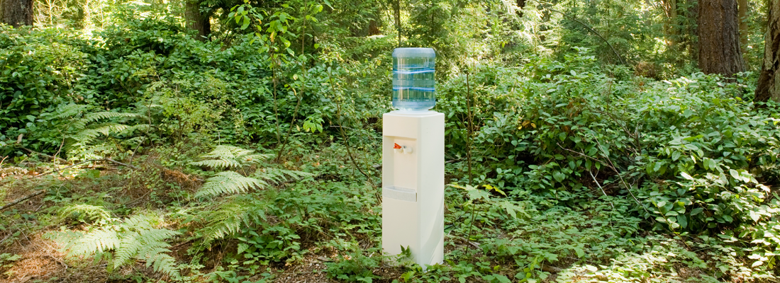 Un dispensador de agua en la mitad de un bosque